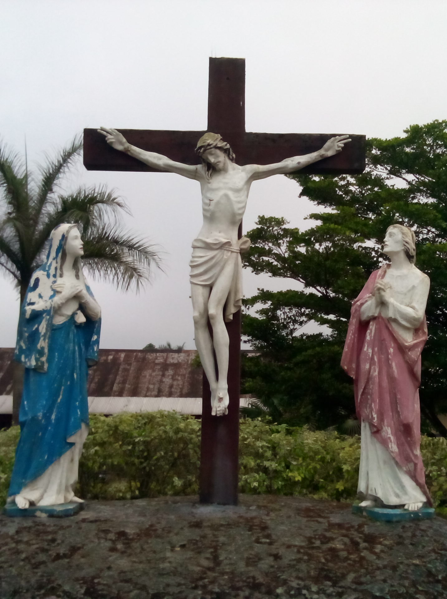 Sasse College Campus